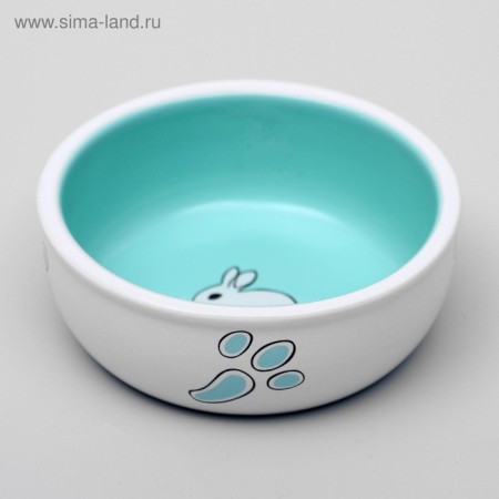 Ceramic bowl for rabbits 200 ml 10 x 3.7 cm, white-green-2