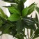 Artificial tree "Dracaena bent" 150 cm