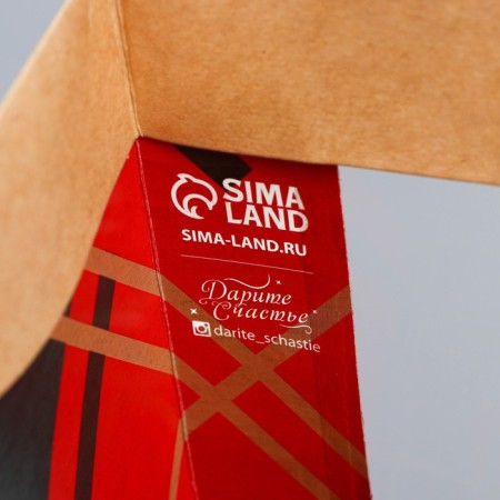 Craftsman package with the Plastic window "New Year's Cage", 31 x 26 x 11 cm, New Year-5