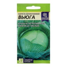 White cabbage seeds of white 