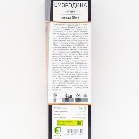 Belaya Currant Perspective varieties "White Fairy", 1 pc, tube, spring 2025-1