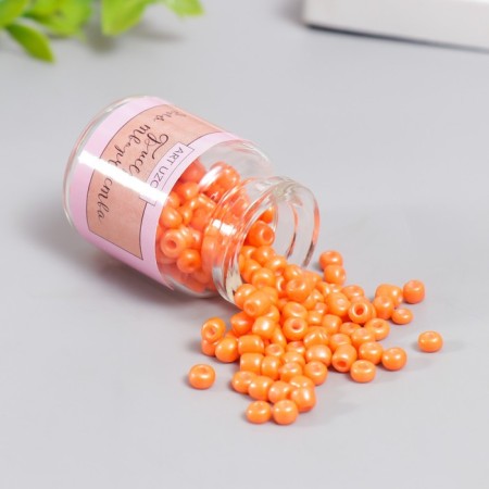Round 6/0 beads in the bottle "Orange Orange" 20 g-1