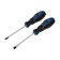 A set of screwdrivers of tundra, satin, magnet, two -component handles, PH2/SL6 x 100 mm, 2 pcs.