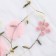 Carnival accessories, white, pink flowers