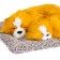 A toy on a car panel, dogs on a pillow, white-red color