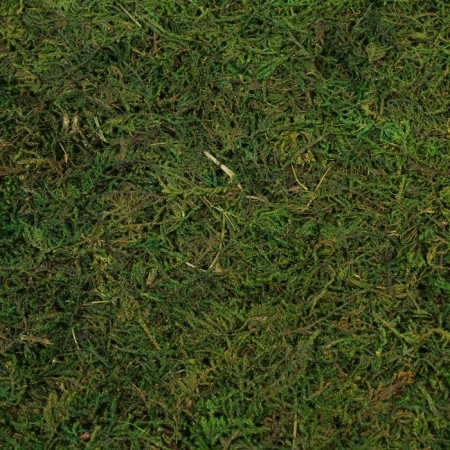 Sheet moss 30x30x0.5 cm-2