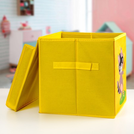 Stelly box for storage with a lid "Raccoon", children, 25 × 25 × 25 cm-1