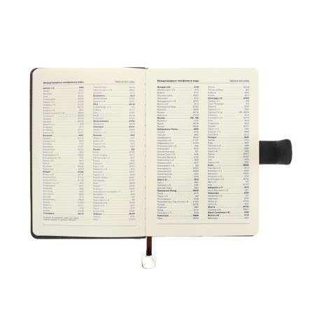 The diary of a non -section A5, 140l, cage, K/deputy, with a pen, in gift. box., Gray-9