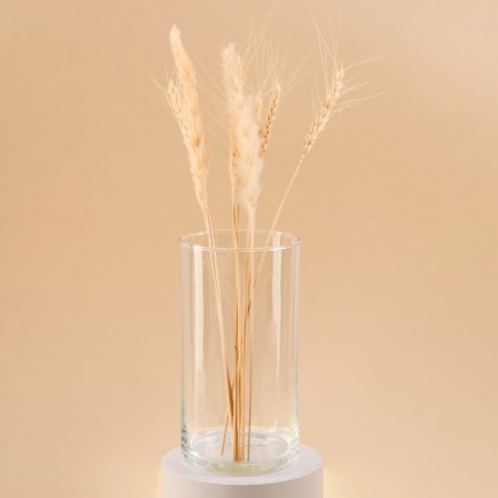 VAZ-cylinder "Titiano" h = 20cm d = 11cm, v = 1.6l transparent-1