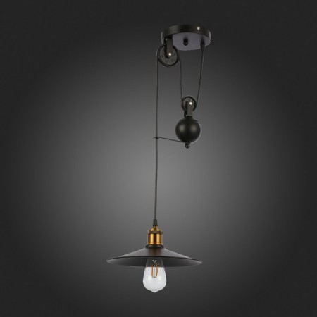 Suspension EVOLUCE. Sle120503-01. ESPERAZZA. 1x60 W, E27, 30x30x50 cm, black color-4