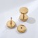 Piercing in the ear (plag) "Tunnel", d = 8 mm, pair, color gold