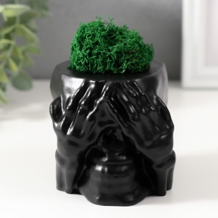 Kashpo concrete "Seek Skull" with moss 7x10 cm black (moss green stabilized)