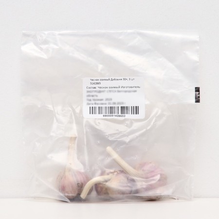 Garlic Winter Dobrynya 30+, packaging 3 pcs