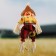 The garden scarecrow "pumpkin", h = 50 cm, mix, Greengo