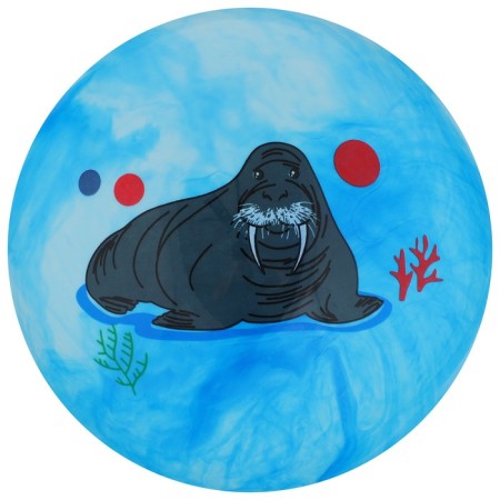 Children's ball, d = 25 cm, 60 g, color mix-13