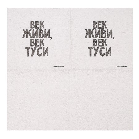 Salphers single -layer paper "Live, Tusi Age" 24x24 cm, set of 20 pcs.-7