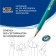 Chernographic pencil (simple) HB, bic evolution, sharpened, plastic, with an eraser, hexagonal, green case