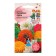 Cinnia flowers "Super yoga mixture", 0.3 g