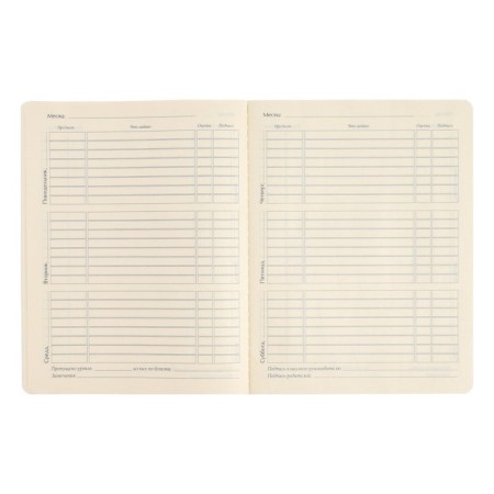 Universal diary for grade 1-11, 48 sheets of Go Fast. Scooter, soft cover, soft touch lamination-5