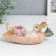 Polystone souvenir "Rabbit read a book in a carrot boat, with a bird" 6x5x14.5 cm