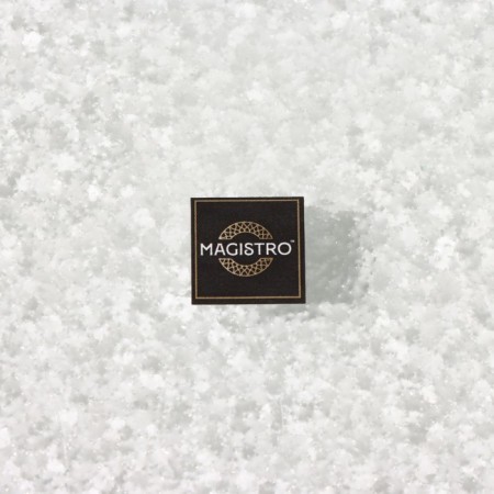 Glass Serving Magistro "Avis", 24.5 × 16.5 × 4 cm-5
