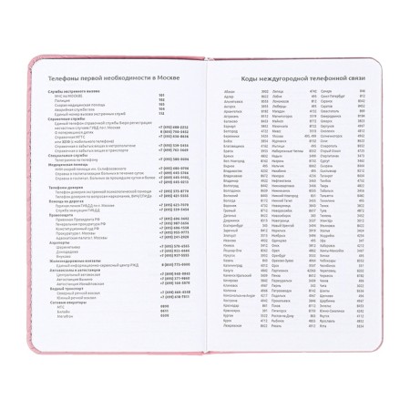 Planing pocket non -flowed 80 sheets, 100x170mm, Devente.elizabeth, a solid cover of leatherette with foam rubber, straps, block 70, pink-9