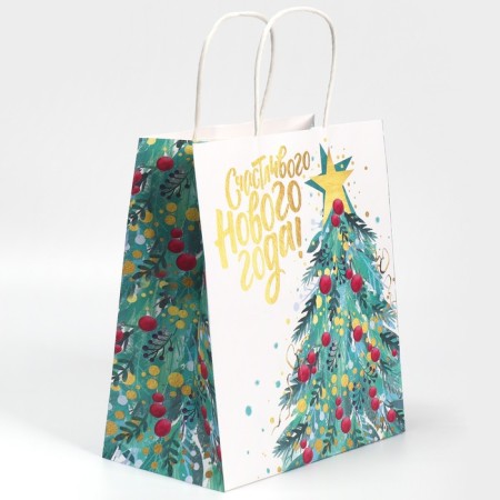 Package Gift Craft "Star", 22 x 25 x 12 cm, New Year-1