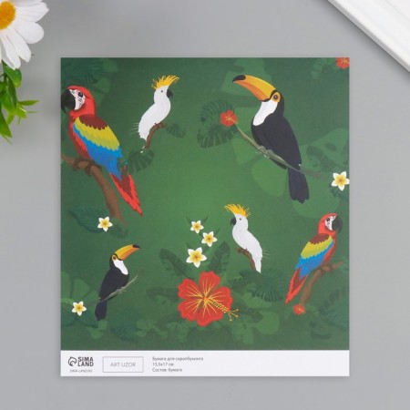 Scrapbooking paper "Exotic birds" density 180 grams set 10 pcs 15.5x17 cm-2