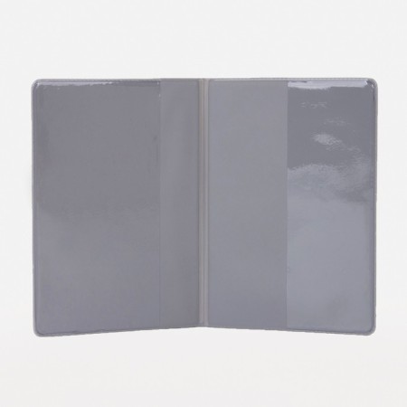 Cover for passport, blue color-2