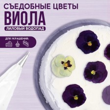 Цветы съедобные «Виола тёмно-фиолетовая» для капкейков, тортов, куличей, напитков, 5 шт.