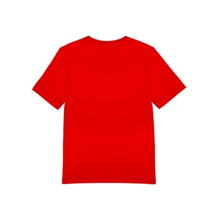 T -shirt for men PlayTode, size S-4