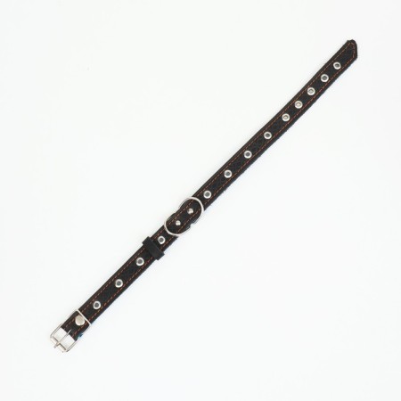 Collar leather reinforced with a kapron with a half-ring, 55 x 2.5 cm, Osh 27-53 cm, black-5