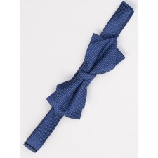 Bow tie for boys ise, blue, blue color
