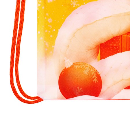 New Year. Bag for sweets 290 x 340 mm "Symbol of the Year" (soft polyester density 210d)-4