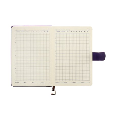 The diary of a non -section A5, 140l, cage, K/deputy, with a pen, in gift. box., purple-13