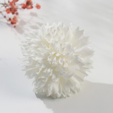 Soap petals 
