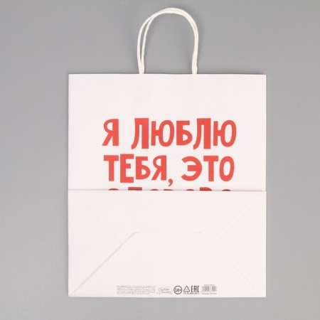 Gift Craft Package, Packaging, "Syce is Great", 28 x 32 x 15 cm-4