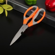 Scissors kitchen shares 