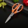 Scissors kitchen shares "Drive", 22 cm, with an opener for a bottle, color mix