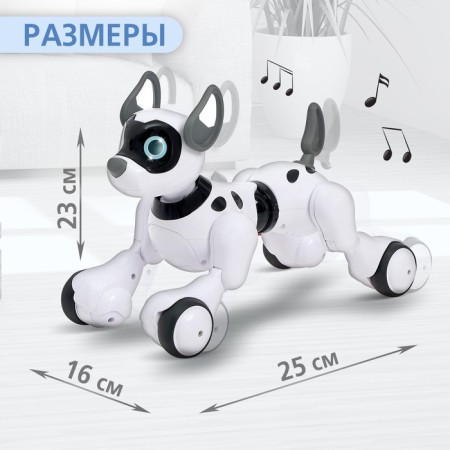 Robot dog Koddy IQ Bot, on the control panel, interactive: sound, light, dancing, musical, on the battery-1
