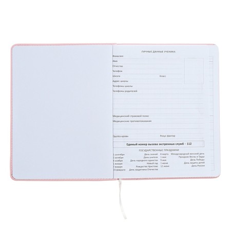 Universal diary for grade 1-11 Fashion Bear, solid cover, artificial leather, foam rubber, liesse, 80 g/m2-4