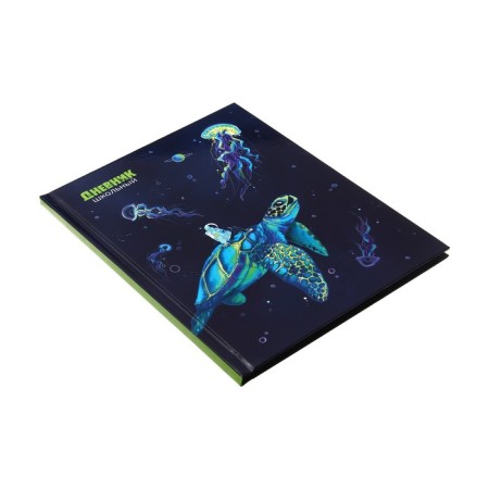 Universal diary for grades 1-11 "Cosmonaut and Turtle", solid cover, glossy lamination, cheat sheet, 48 sheets-1