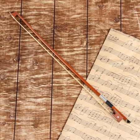 Music Life 1/4, 55 cm violin