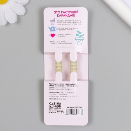 Growing gift pencils Mini "Mint and Lavada" set 2 pcs-1