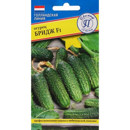 Cucumber seeds "Bridge", F1, 5 pcs.