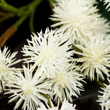 Artificial flowers "Ricin" 2.5x73 cm, white-1