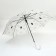 Umbrella - semi -automatic cane, Funny Kitten, 8 spokes, r = 47 cm, color mix