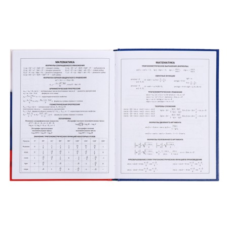 Diary for grades 5-11, 48 sheets of "Russian schoolchild No. 4", hard cover, glossy lamination, block 60 g/m2-13