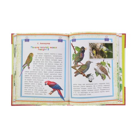 Brachkina Encyclopedia "I know everything." Tanasiychuk V.N., Akimushkin I.-3