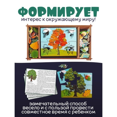 Wooden puzzles "trees and what is growing on them"-2